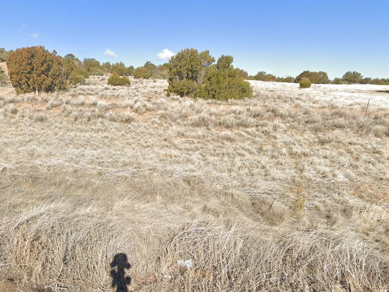 Relaxed Rural Living Near Vernon : Vernon : Apache County : Arizona