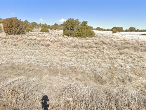 Relaxed Rural Living Near Vernon : Vernon : Apache County : Arizona