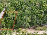 Affordable Lot by River and Parks : Live Oak : Suwannee County : Florida