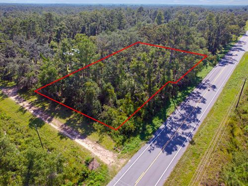 Affordable Lot by Springs & Forests : Live Oak : Suwannee County : Florida