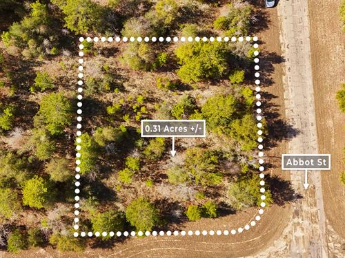 Near Lake, No HOA, Owner Financing : Chipley : Washington County : Florida