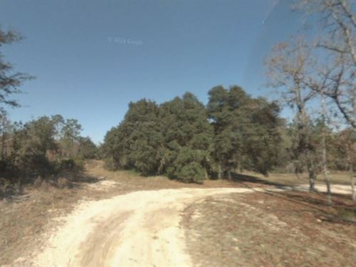 Over an Acre of Rural Residential : Williston : Levy County : Florida