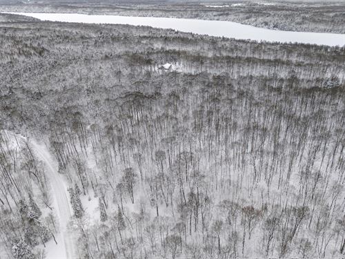 Phelps Acreage : Phelps : Vilas County : Wisconsin