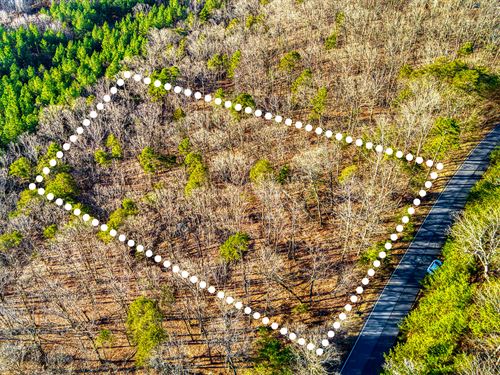 Peaceful Rural, Acreage, $1 Down : Denton : Davidson County : North Carolina