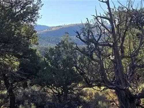 Million $$ Views, Friendly Price : Fort Garland : Costilla County : Colorado