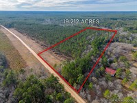 Lot 6, Lanes Creek Farms : Brooklet : Bulloch County : Georgia