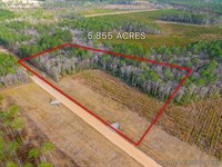 Lot 7, Lanes Creek Farms : Brooklet : Bulloch County : Georgia
