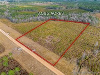 Lot 9, Lanes Creek Farms : Brooklet : Bulloch County : Georgia