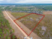 Lot 10, Lanes Creek Farms : Brooklet : Bulloch County : Georgia