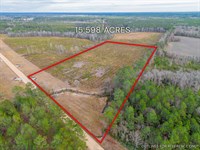 Lot 11, Lanes Creek Farms : Brooklet : Bulloch County : Georgia