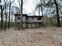 Cabin on 3.85 Acres, Pike County : McComb : Pike County : Mississippi