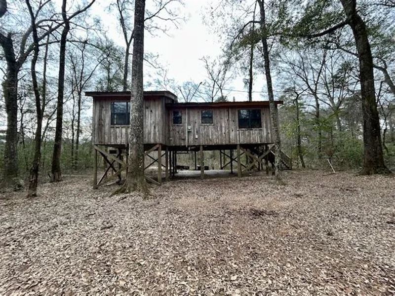 Cabin on 3.85 Acres, Pike County : McComb : Pike County : Mississippi