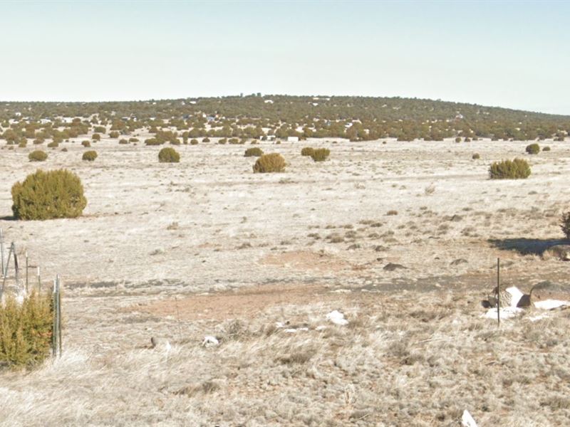 Level Acreage in a Quiet AZ Setting : Concho : Apache County : Arizona