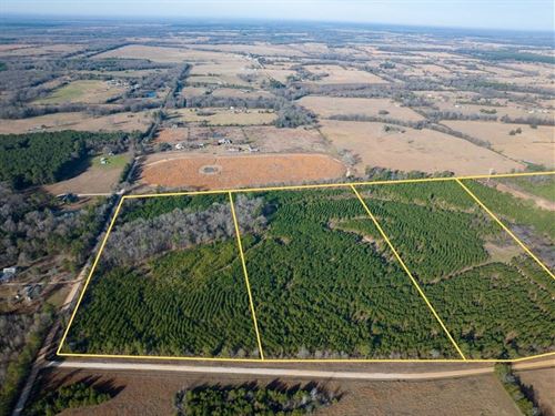 16 Acres, T-3, County Road 4245 : De Kalb : Bowie County : Texas