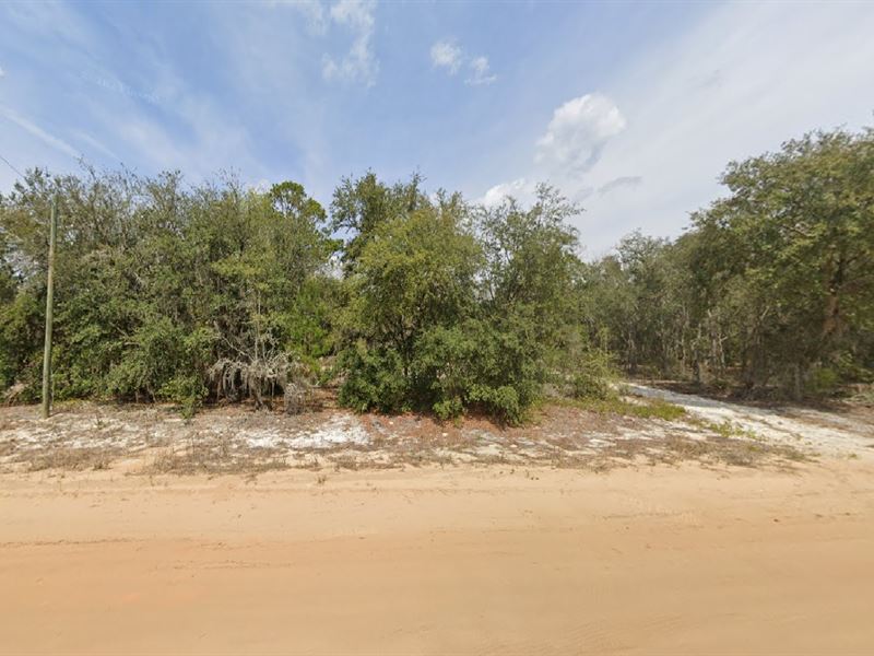 New Land Alert $199 Down : Interlachen : Putnam County : Florida