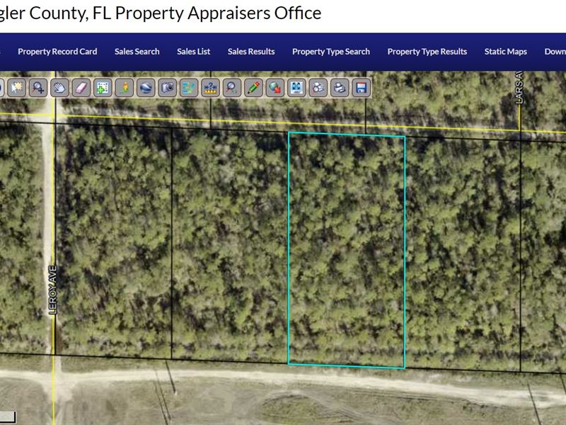 Flat, Buildable Land, $443/Mo : Hastings : Flagler County : Florida