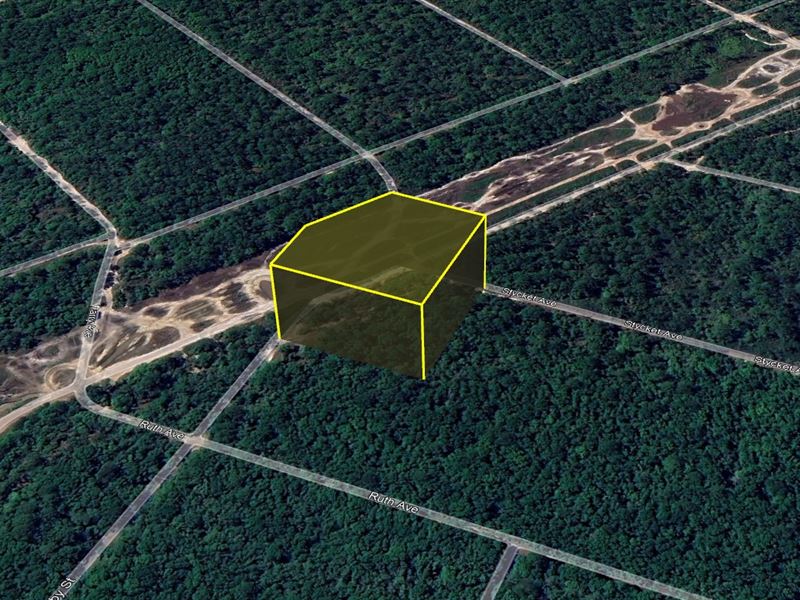 $555/Mo Hastings Best Land Deal : Hastings : Flagler County : Florida