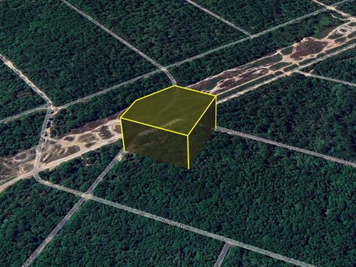 $555/Mo Hastings Best Land Deal : Hastings : Flagler County : Florida