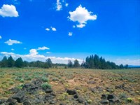 1.63 Acre Oregon RV & Camping Land : Chiloquin : Klamath County : Oregon