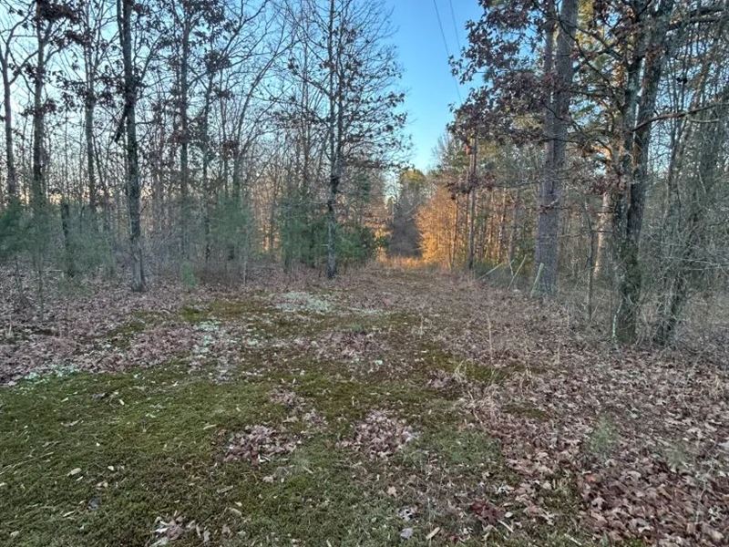 3 Acres Tract 1 in Polk County : Mena : Polk County : Arkansas