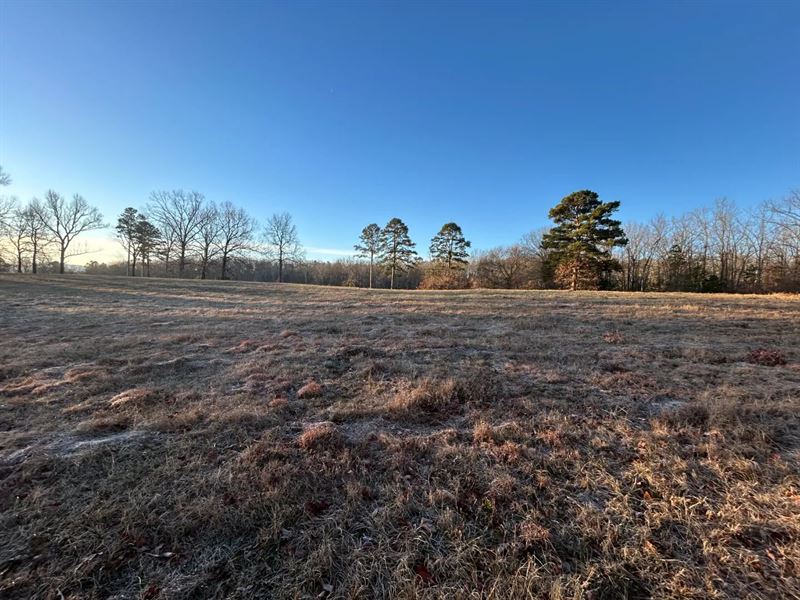 3.77 Acres Tract 2 in Polk County : Mena : Polk County : Arkansas