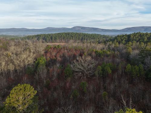 16.06 Acres Tract 3 in Montgomery : Oden : Montgomery County : Arkansas
