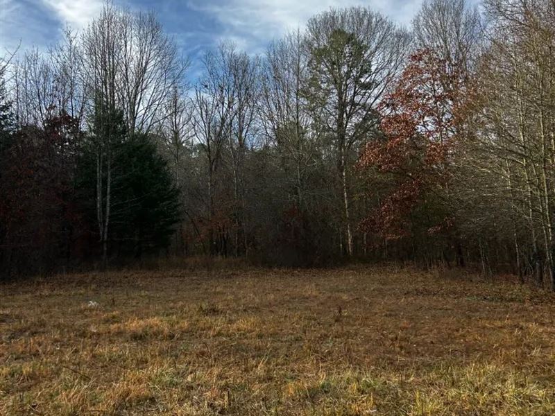 12.90 Acres Tract 5 in Montgomery : Oden : Montgomery County : Arkansas