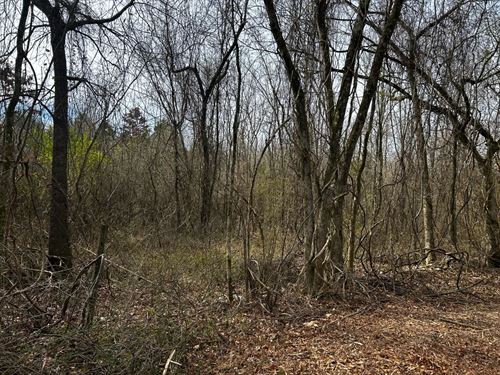 7.50 Acres Tract 10 in Montgomery : Oden : Montgomery County : Arkansas