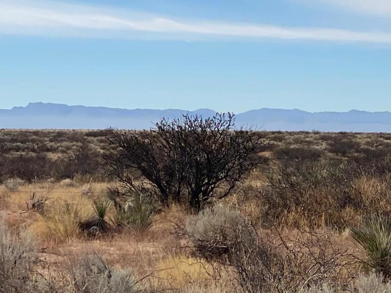 Pristine 10-Acre Mountain View : Presidio City : Presidio County : Texas