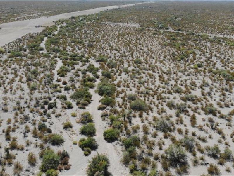 Panoramic 10-Acre Mountain View : Presidio City : Presidio County : Texas