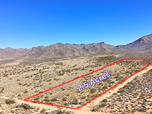 Build, Camp, or Invest : Dolan Springs : Mohave County : Arizona