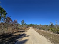Fantastic Lot with Access to Power : Interlachen : Putnam County : Florida