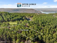 Mountaintop Homesite, 1.15 Acres : Guild : Marion County : Tennessee