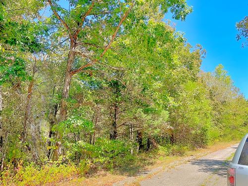 Crown Lake 2 Blocks Down The Street : Horseshoe Bend : Izard County : Arkansas