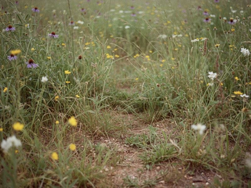 9.5 Acres in Bryan County OK : Calera : Bryan County : Oklahoma