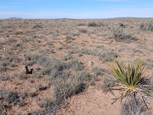 Open Desert Acre with Big Views : Holbrook : Apache County : Arizona
