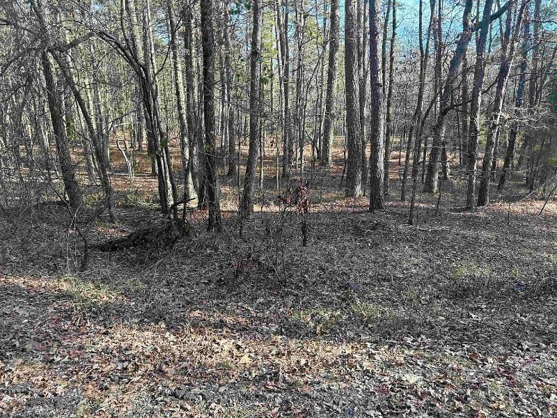 Incredible 1.10-Acre Residential : Hot Springs Village : Garland County : Arkansas