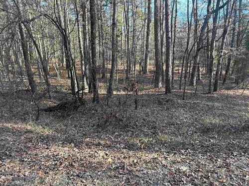 Incredible 1.10-Acre Residential : Hot Springs Village : Garland County : Arkansas