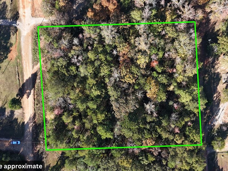 Build Your Future on This 2 Acre : Gray Court : Laurens County : South Carolina