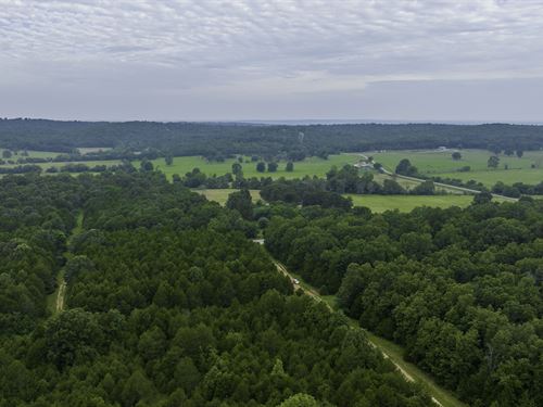 Whitetail Paradise, Creek Access : Horseshoe Bend : Izard County : Arkansas