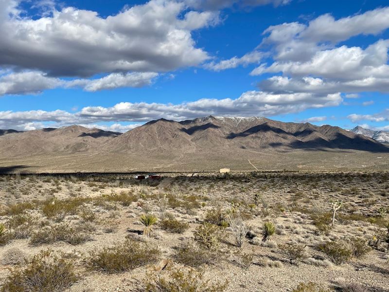 Five 1 Acre Neighboring Properties : Meadview : Mohave County : Arizona