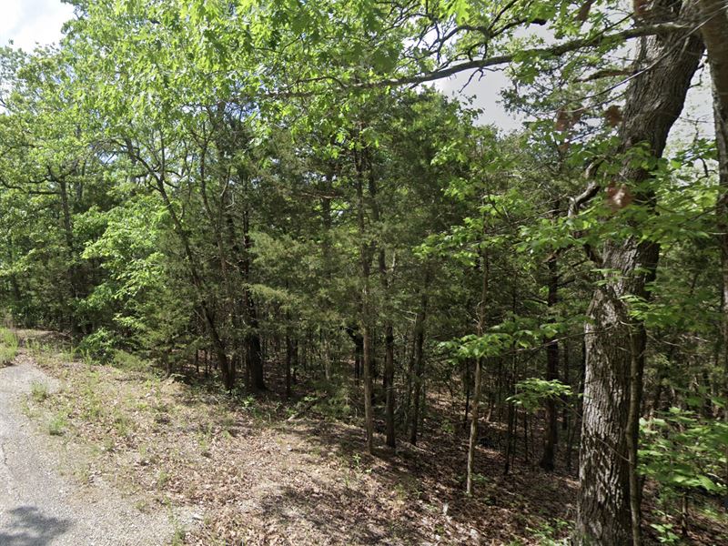 Golfer Paradise 6Min to Golf Course : Horseshoe Bend : Izard County : Arkansas