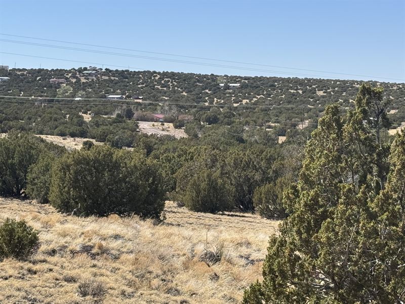 Power-Ready Lot Near Hwy 61 AZ : Concho : Apache County : Arizona