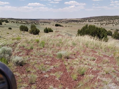 Off-Grid Escape in Concho Valley : Concho : Apache County : Arizona