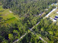Build or Camp Near Suwannee River : Live Oak : Suwannee County : Florida