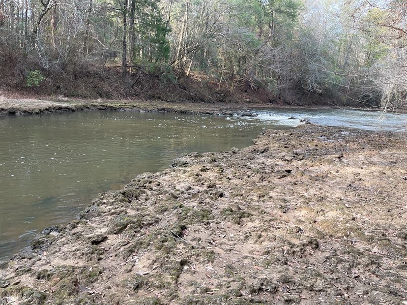 Huggins Mill Road Tract-7 Acres : Red Level : Covington County : Alabama