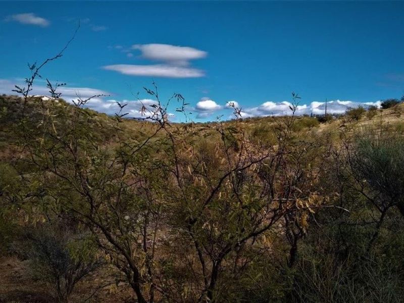 Retreat to Sunny Arizona : Rio Rico : Santa Cruz County : Arizona