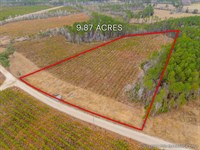Lot 16, Lanes Creek Farms : Brooklet : Bulloch County : Georgia