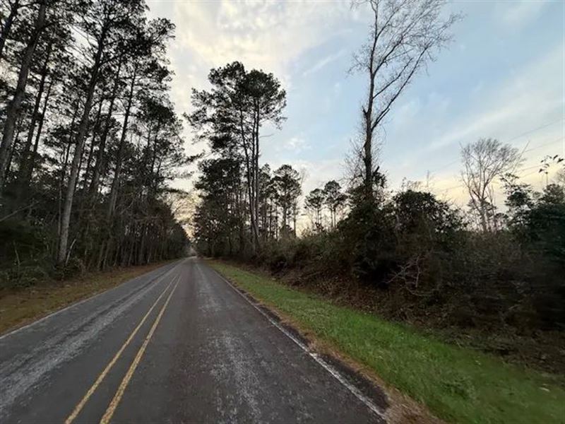 Old Country Store, 1 Acre, Morgan : Foxworth : Marion County : Mississippi