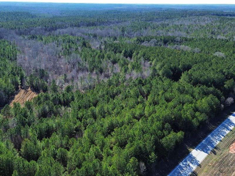 20 Acres Chambers County, AL : Roanoke : Randolph County : Alabama